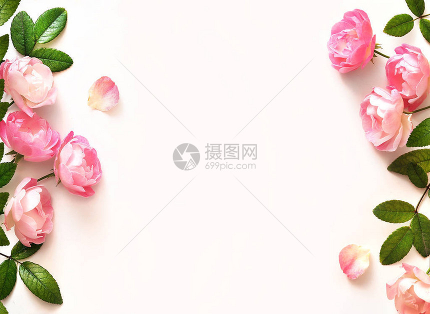 白色背景上的玫瑰花框图片