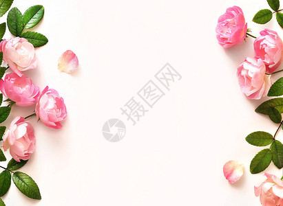 白色背景上的玫瑰花框背景图片