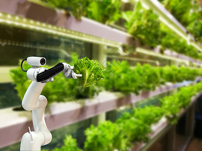 农业中的智能机器人农民未来机器人自动图片