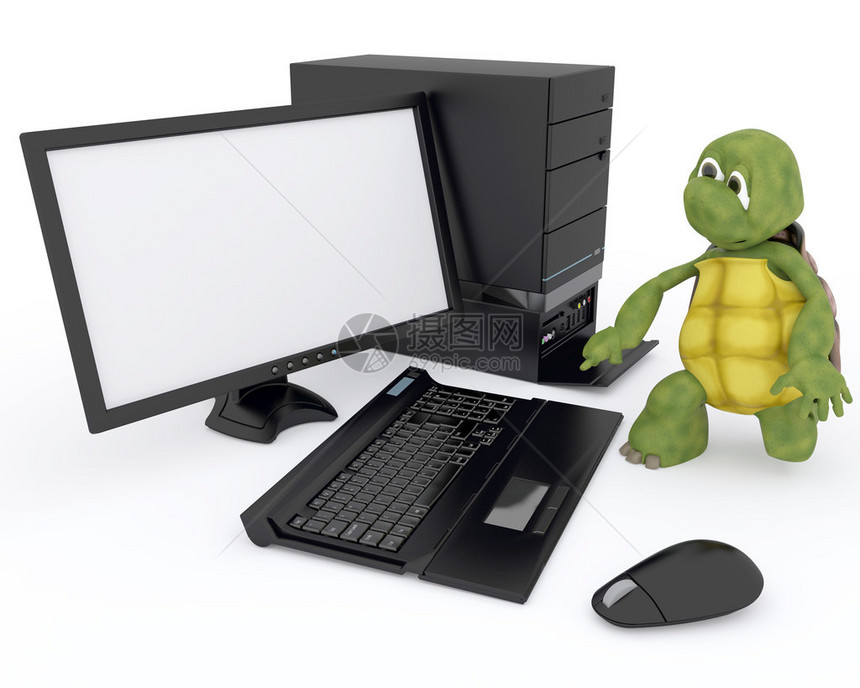 用计算机对乌龟进行3D渲染图片