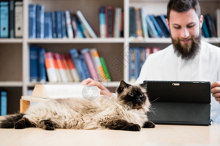 有猫的兽医在图书馆查找医疗信息图片