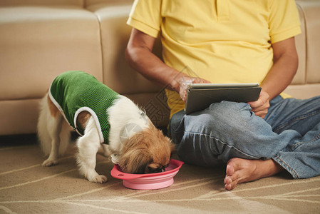 男人坐在地板上在狗吃东西时图片