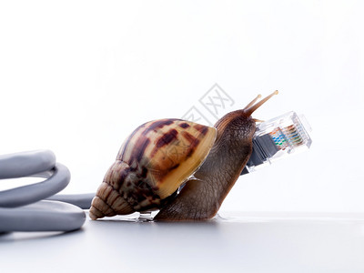 Snail与rj45连接器符号照片图片