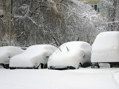 城市大雪落下车里满是雪城市街图片