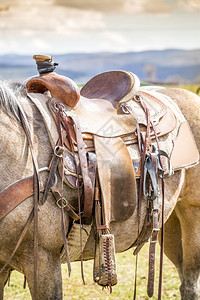 美国牧场上的马鞍图片