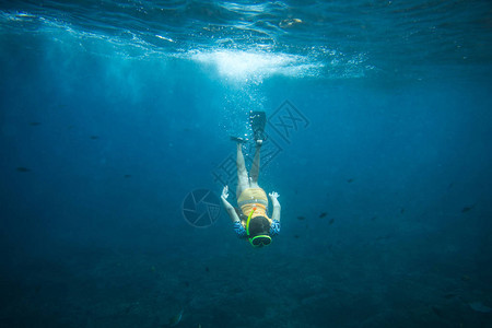 长鳍潜水蒙罩和浮潜在大洋中单独潜水图片