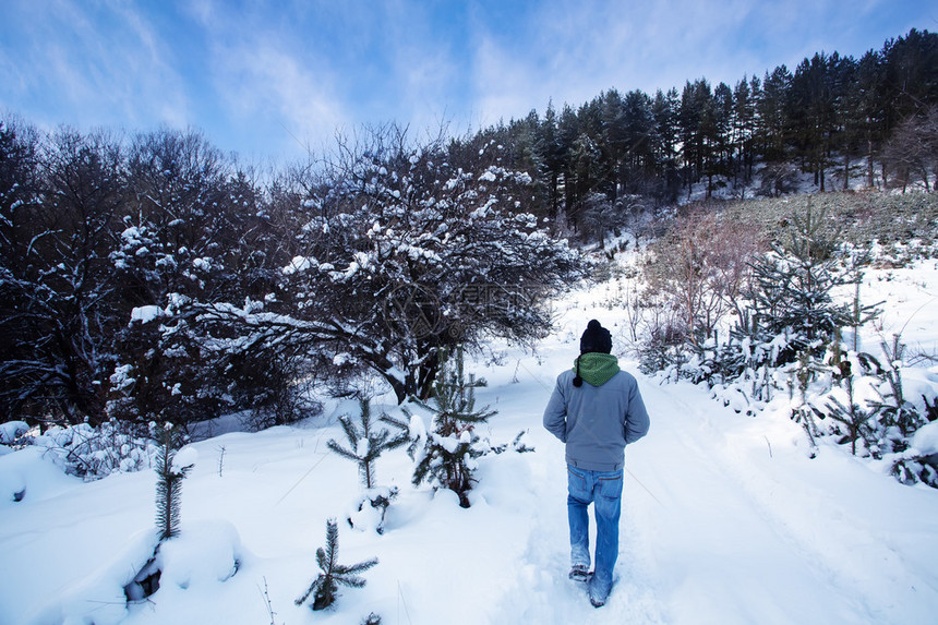 走在森林的雪地上图片