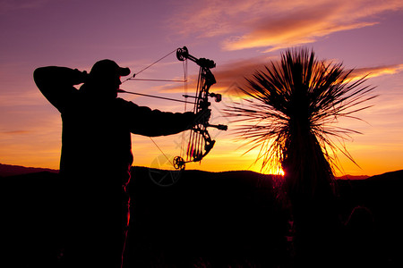 在美丽的夕阳下一只弓箭背景图片