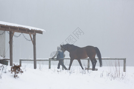 雪人带领马在冬雾图片