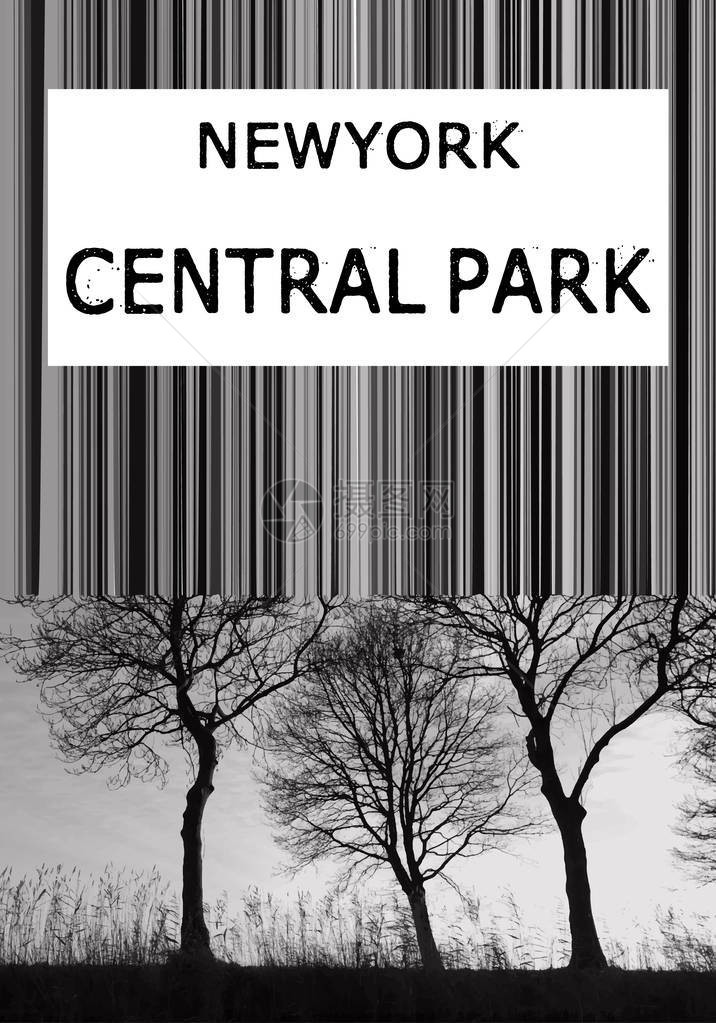 纽约图示中央公园印刷品打字T图片