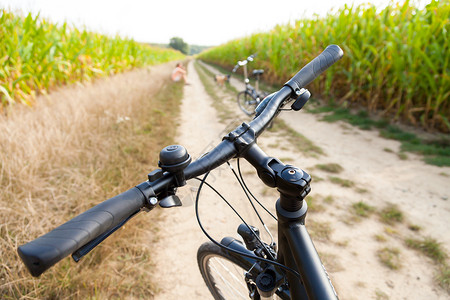 在玉米地里骑自行车图片