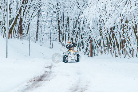 在下雪森林概念中二人图片