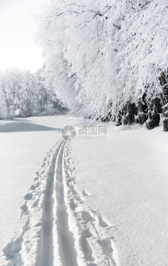 乡村景观中的越野滑雪道图片