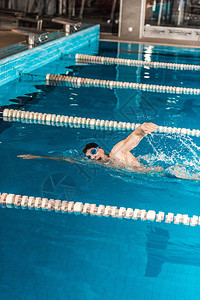 参加竞技游泳池的年轻男职业图片