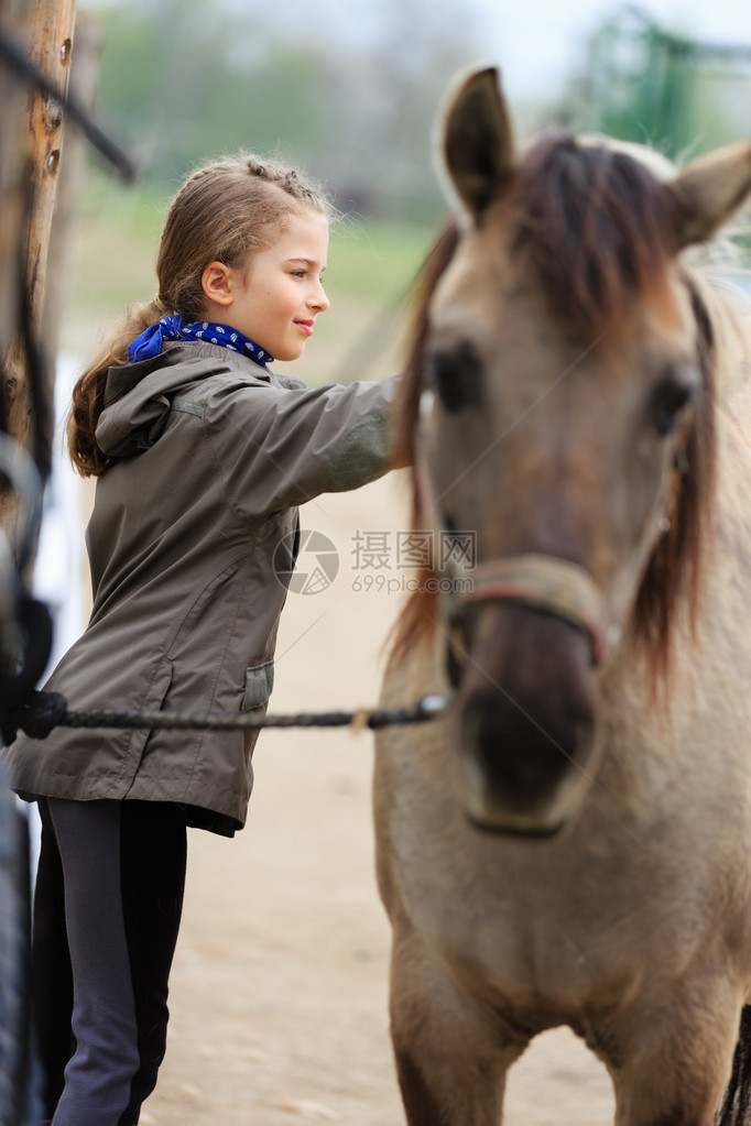 马和可爱的马术女孩图片