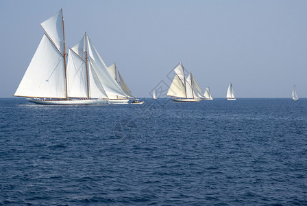 是地中海航行的重要赛事来自意大利因佩里亚湾的12个的100多艘船背景图片
