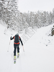 后滑雪手在雪山谷走来去图片