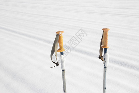 新鲜雪中的老式滑雪杖图片
