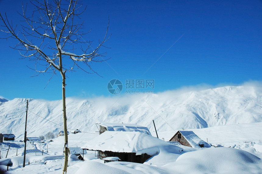 冬季下雪的树木和房屋格鲁吉亚G图片