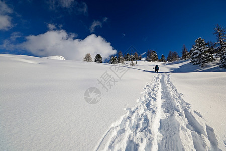 在大雪过后意大利阿尔卑斯山的冬图片