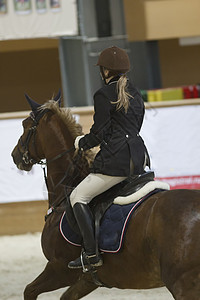 女子马术骑手在跳马比赛中骑着种马奔跑的后视图片