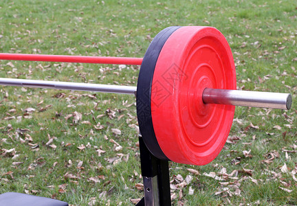 在草坪上的户外健身房举重锻炼设备图片