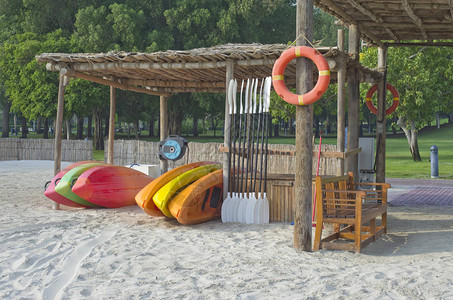 在沙滩上租出各种颜色的单眼艇迪拜市海滨早上1点图片