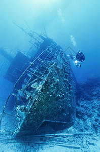 SWDAN红海沉船潜水背景图片