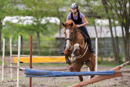 年轻漂亮的女孩骑马跳过障碍春假时背图片