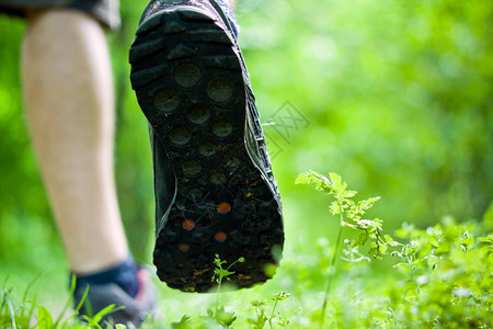 夏季森林中的越野跑鞋图片