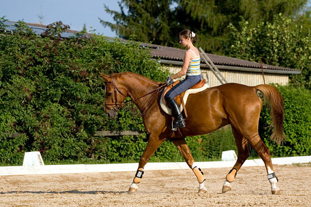 骑着栗色马的年轻女孩图片