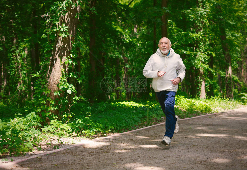 在清晨锻炼复制空间期在绿林中奔跑的老年人运动男子任何年龄的健康积极图片