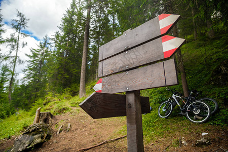 空的小径标志森林木山地自行车图片