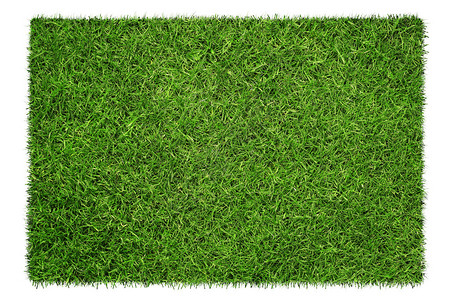 绿色草质贴近绿草纹理背景以白色背景与图片