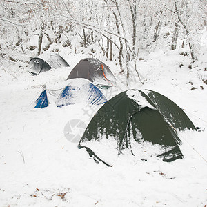 雪林中的冬季帐篷营地图片