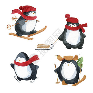 可爱的小企鹅冬季运动水彩手绘图片