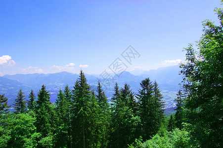 森林和山岳概念形象山区森林和清洁天空图片