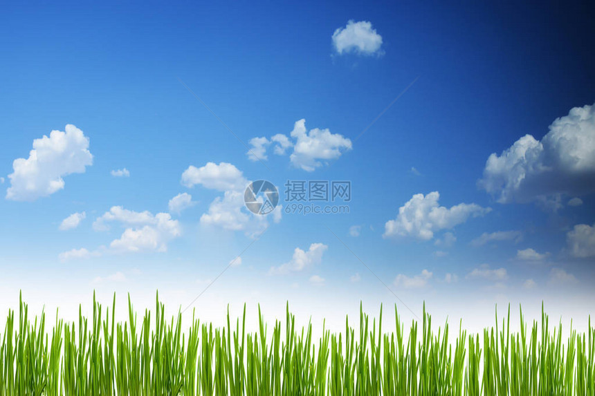 与蓝天的新鲜的春天绿草背景图片
