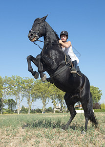 在田野里骑着一匹黑种马的年轻女孩图片