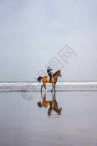 远视海边骑马的女图片