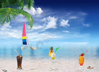热带海滩有棕榈树贝壳图片