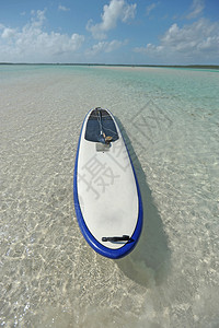 巴哈马蓝水中的桨板图片