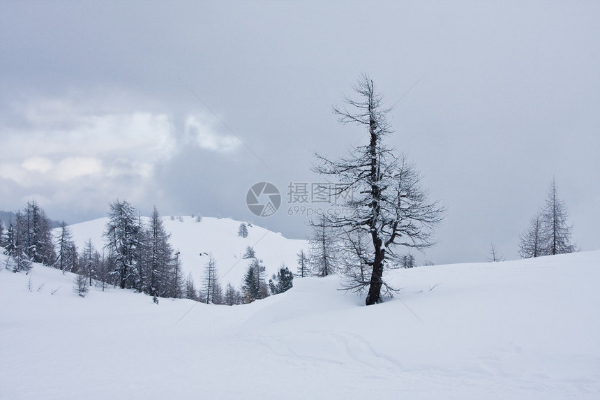 冬季雪下高山意图片