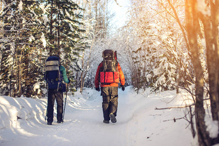 时在树上走雪路概念是冬季步行和积极的冬季生活方式的旅游男图片