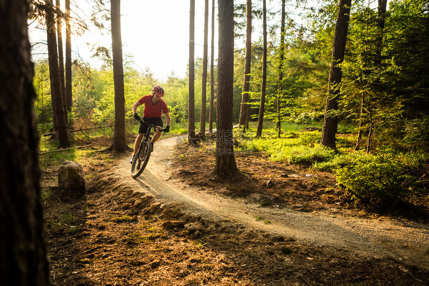 山地自行车骑自行车在春天鼓舞人心的森林日落景观男子在耐力赛步道上骑山地车健身动机和夏季灵感骑手山地自图片