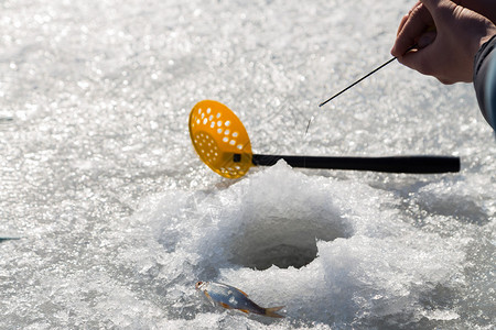 冬季捕鱼冰钓从井里捕冰的渔夫一个图片