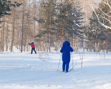 一位老年妇女正在雪地冬季树林或公园滑雪图片
