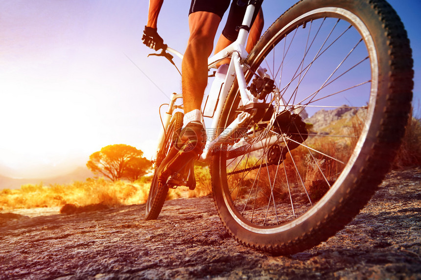 日出时骑山车的骑自行车骑图片