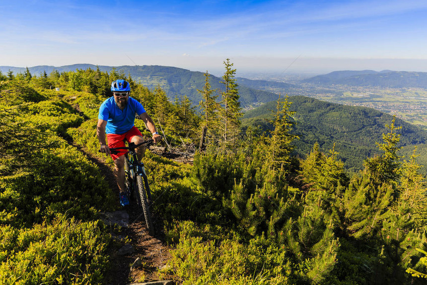 山地自行车骑自行车在夏季山区森林景观男子骑自行车MTB图片