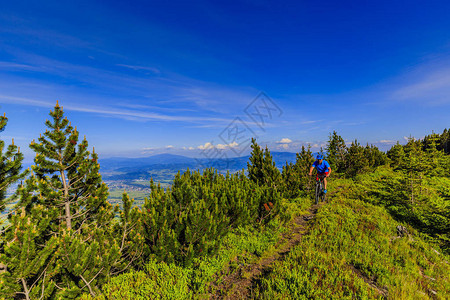 山地自行车骑自行车在夏季山区森林景观男子骑自行车MTB流径赛道图片